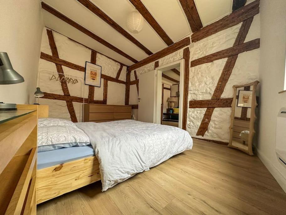 Nouvel Appartement, Le Colombage Heureux Sélestat Εξωτερικό φωτογραφία