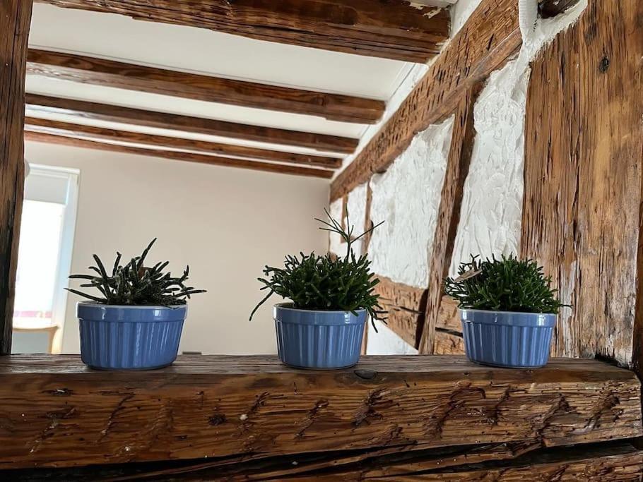 Nouvel Appartement, Le Colombage Heureux Sélestat Εξωτερικό φωτογραφία
