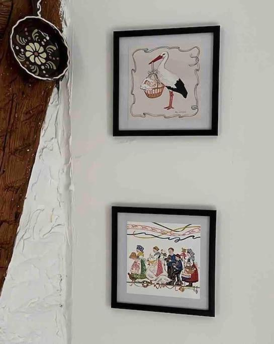 Nouvel Appartement, Le Colombage Heureux Sélestat Εξωτερικό φωτογραφία