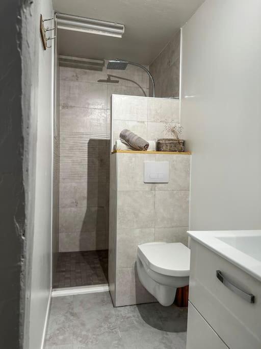 Nouvel Appartement, Le Colombage Heureux Sélestat Εξωτερικό φωτογραφία